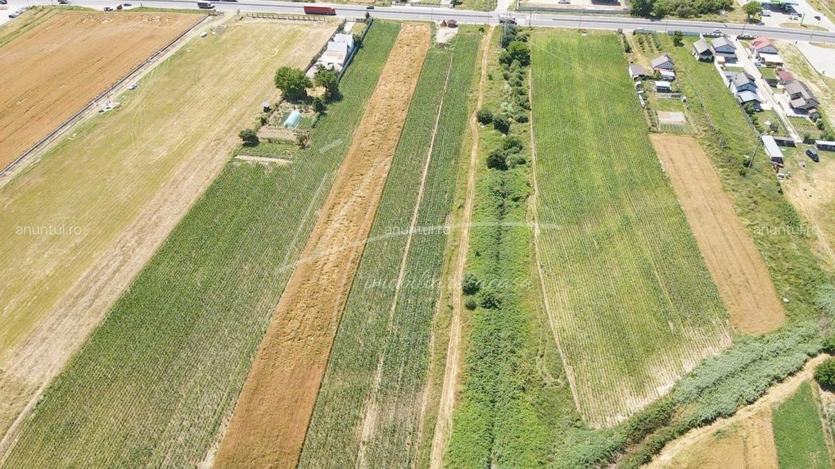 Maracineni, judetul Arges Teren cu potential de dezvoltare -7427 mp in Argeselu - 4