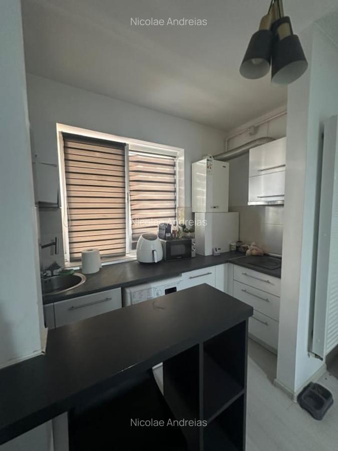 Popesti Leordeni-Amurgului-Dimitrie Leonida - 5