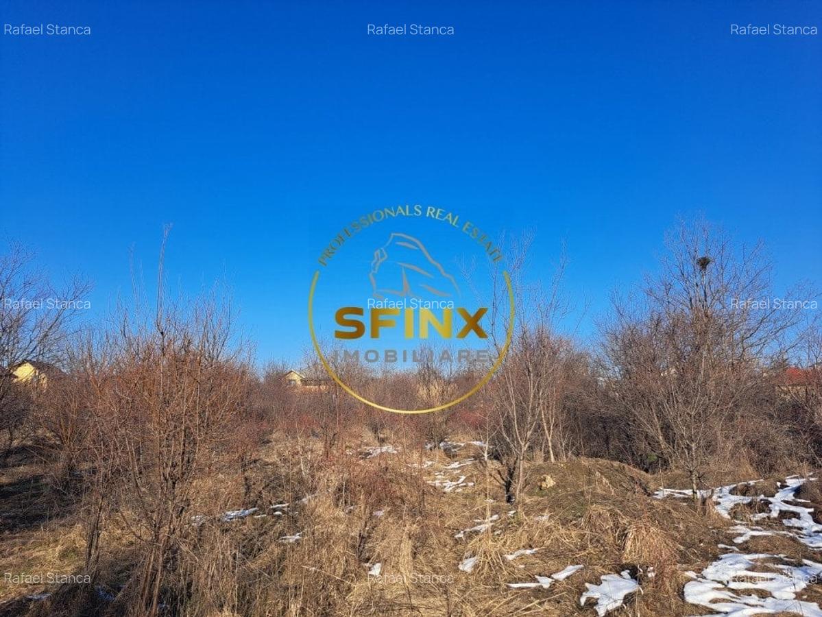 Teren intravilan de vanzare Bragadiru - 1