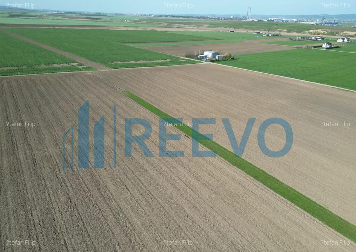 Teren de vanzare, Com. Nicolae Balcescu, Jud. Bacau - 8 Teren de vanzare, Com. Nicolae Balcescu, Jud. Bacau - 8