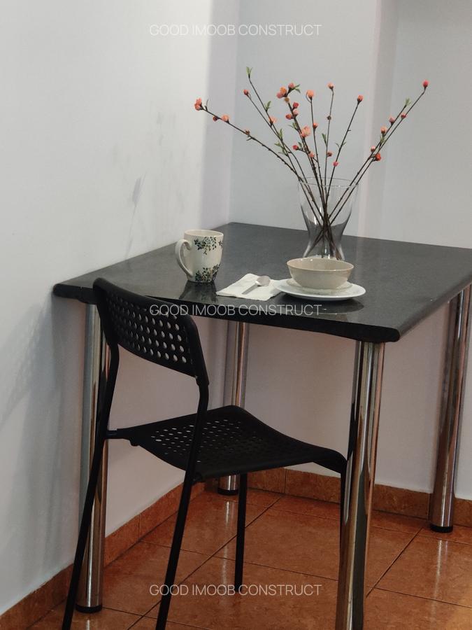 Închiriere studiou lux Piata Unirii bloc Nou - 17
