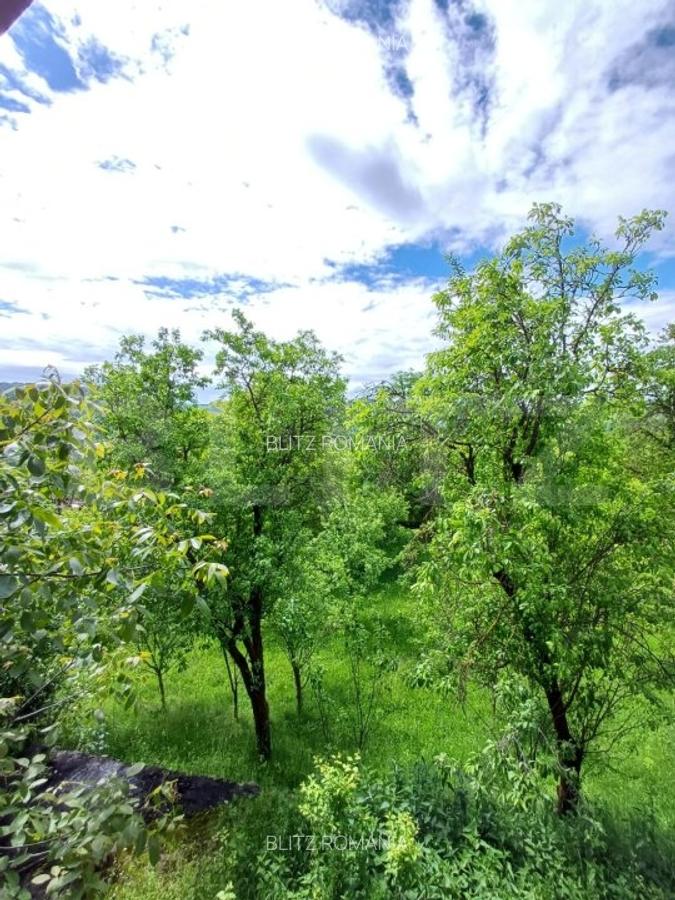 Casa 3 camere si teren 4873 mp  in Pietroasa, Moldovenești - 16