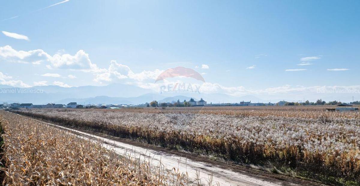 Teren Brasov -Strada Aron Pumnul, 5 loturi X 520 mp, impr... - 7