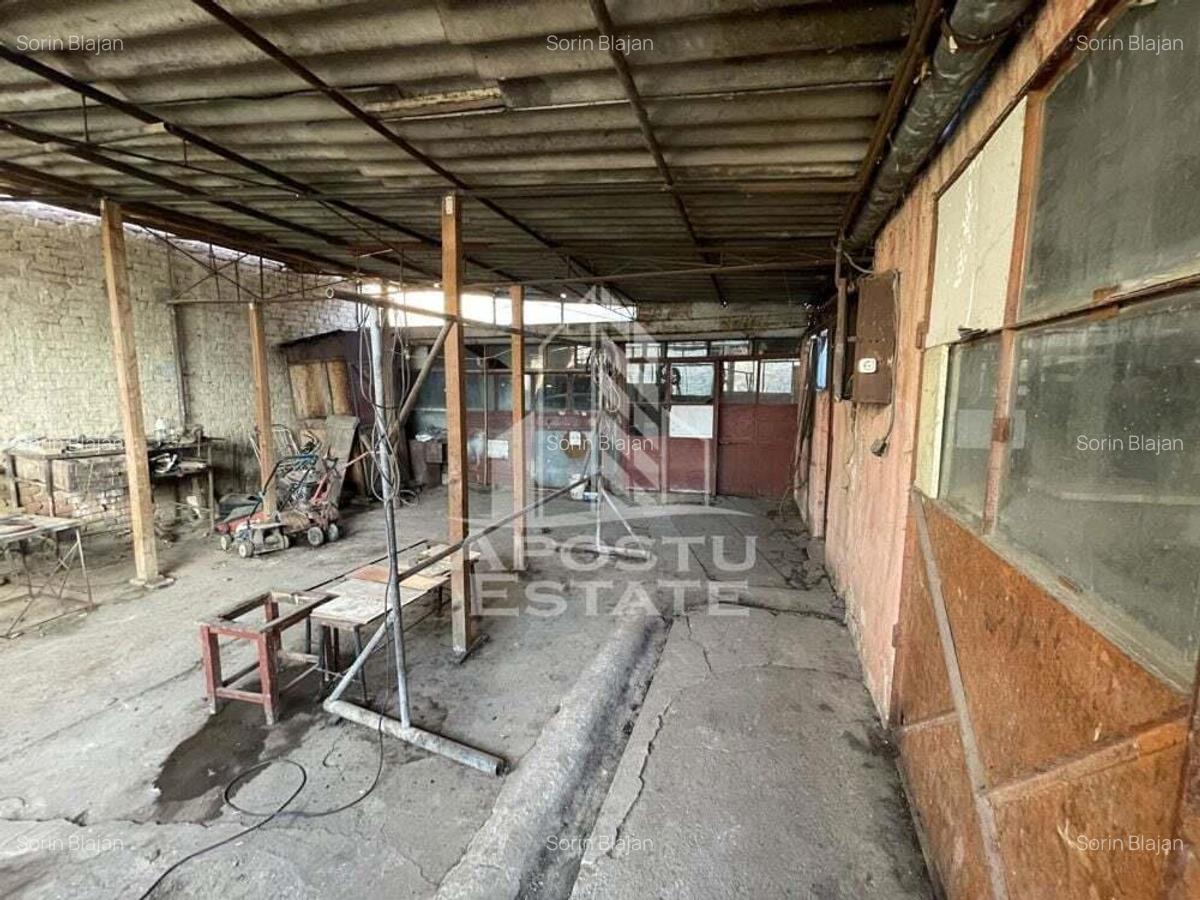 Casa Freidorf - Dambovita langa Alfa - 4