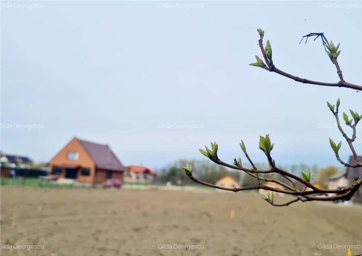 Teren 1.700 mp intravilan, natura, vecinatati bune, potentia - 7