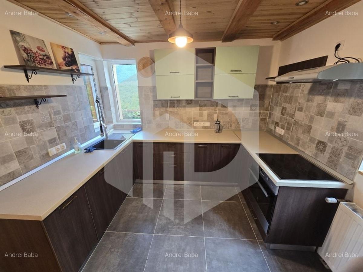 Casa individuala 4 camere teren 3825 mp Cisnadioara - 20