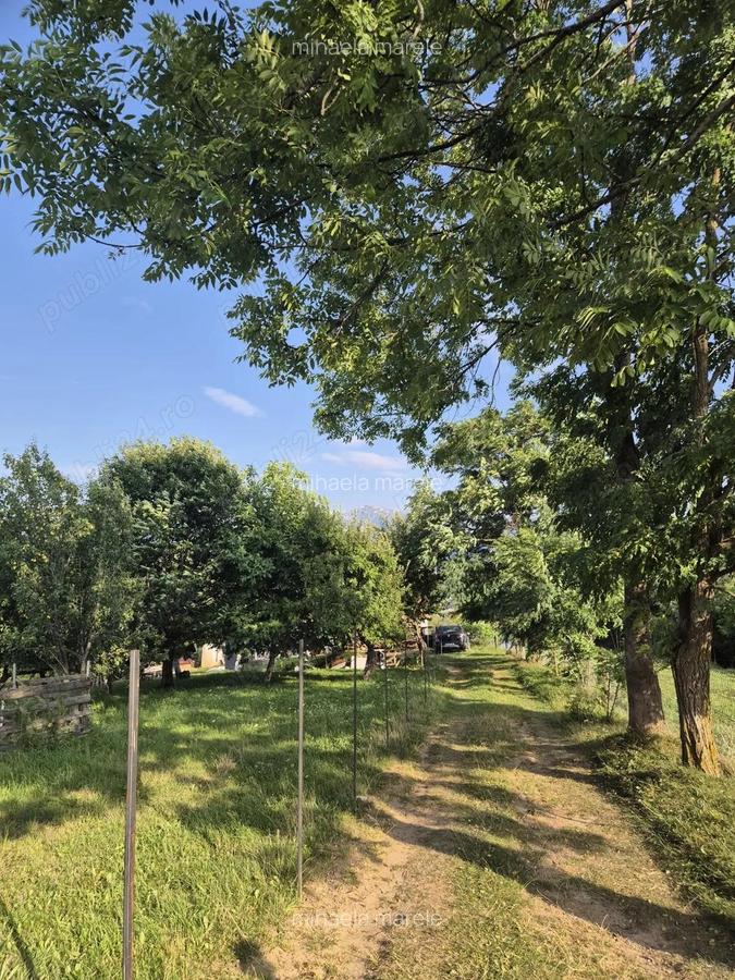Intravilan Pestera, jud Brasov, comision 0% - 7