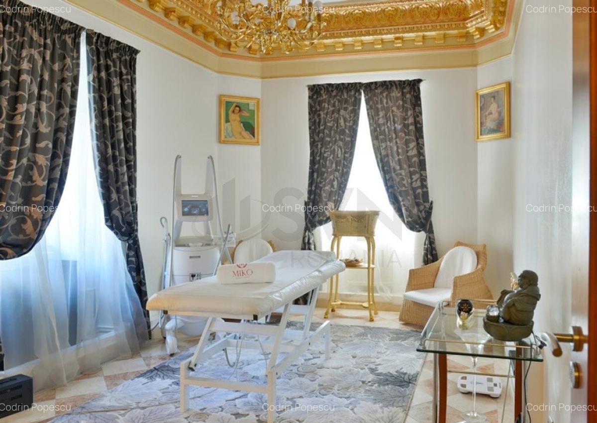 Palat de Lux Piata Romana Ambasada - 4