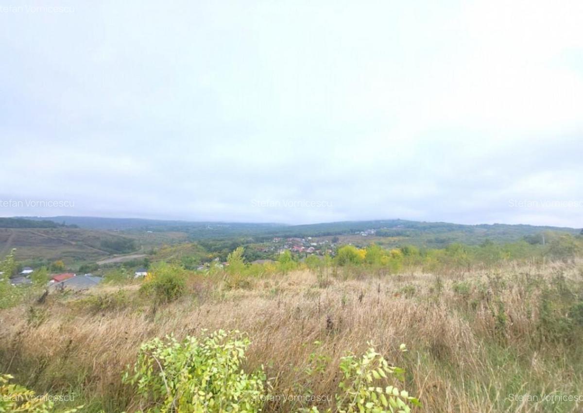 Teren de vanzare Barnova, cu priveliste Vanzare imediata - 14