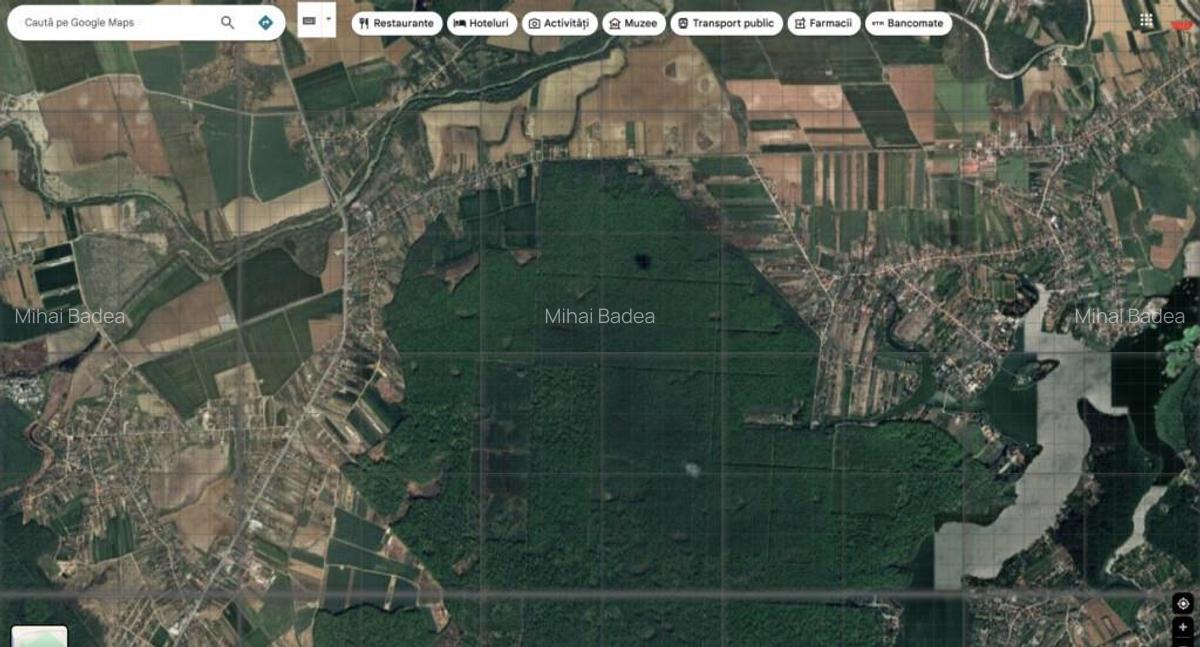 `Teren cu dubla deschidere, langa padure, Snagov - Strada Pa - 11