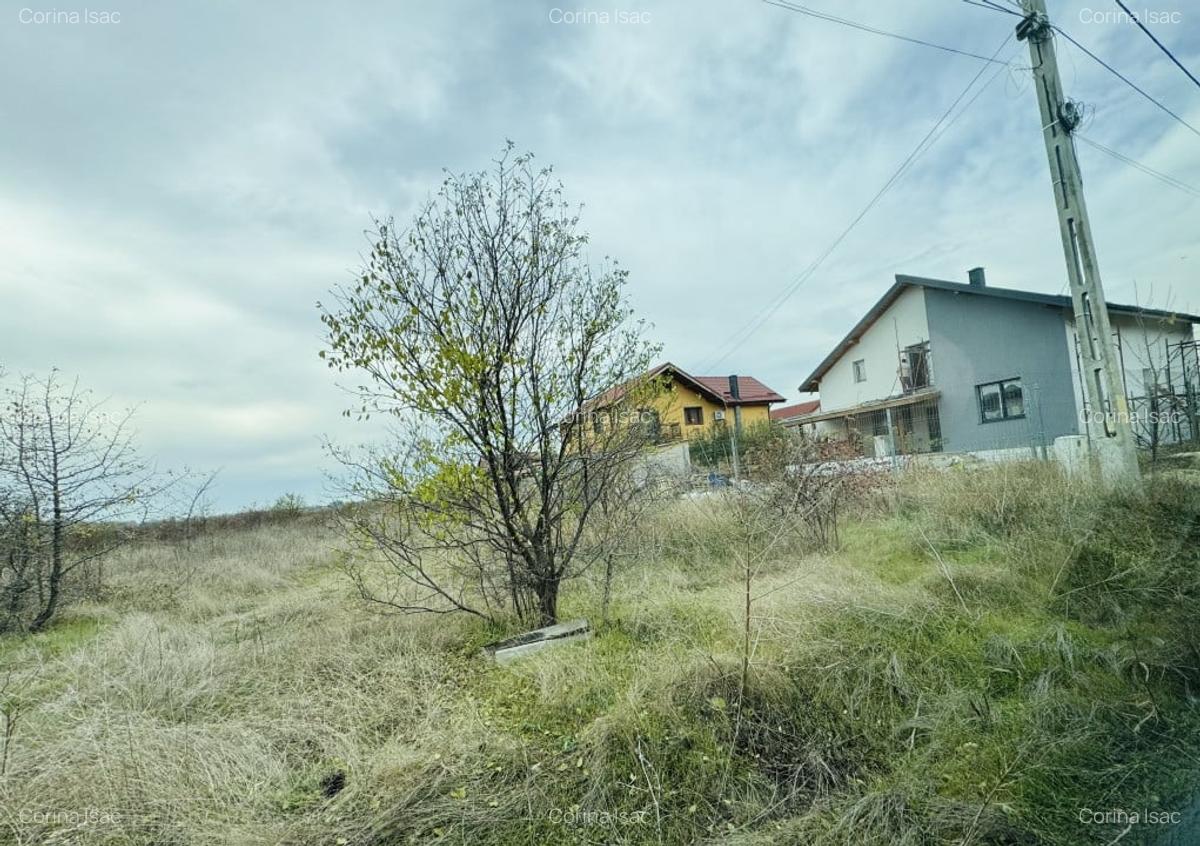 OPORTUNITATE, Teren de Vanzare in Magurele, Varteju Parcelabil - 5