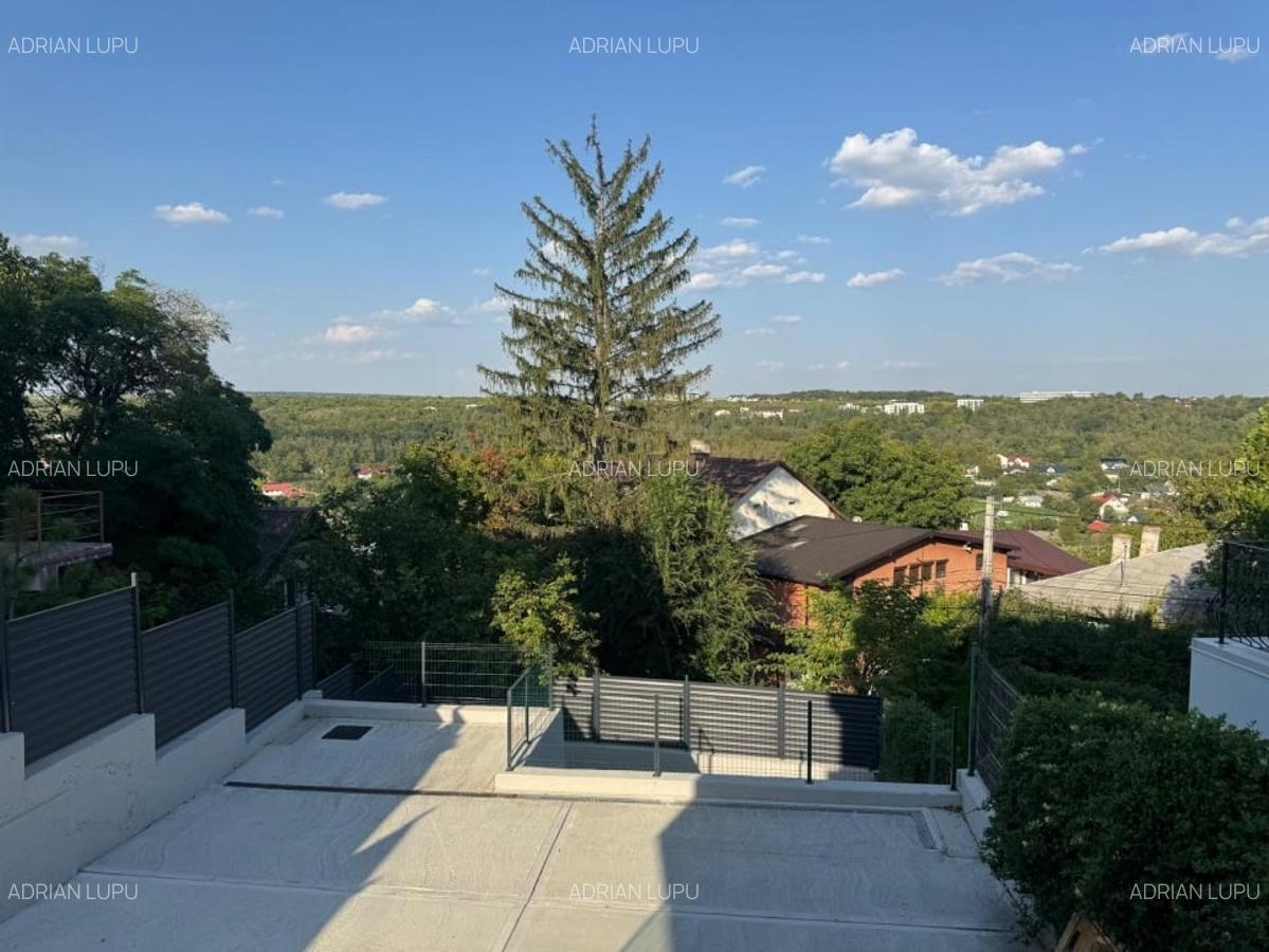 Inchiriere Spatiu Comercial 150 mp Copou Sararie Vad Stradal - 5