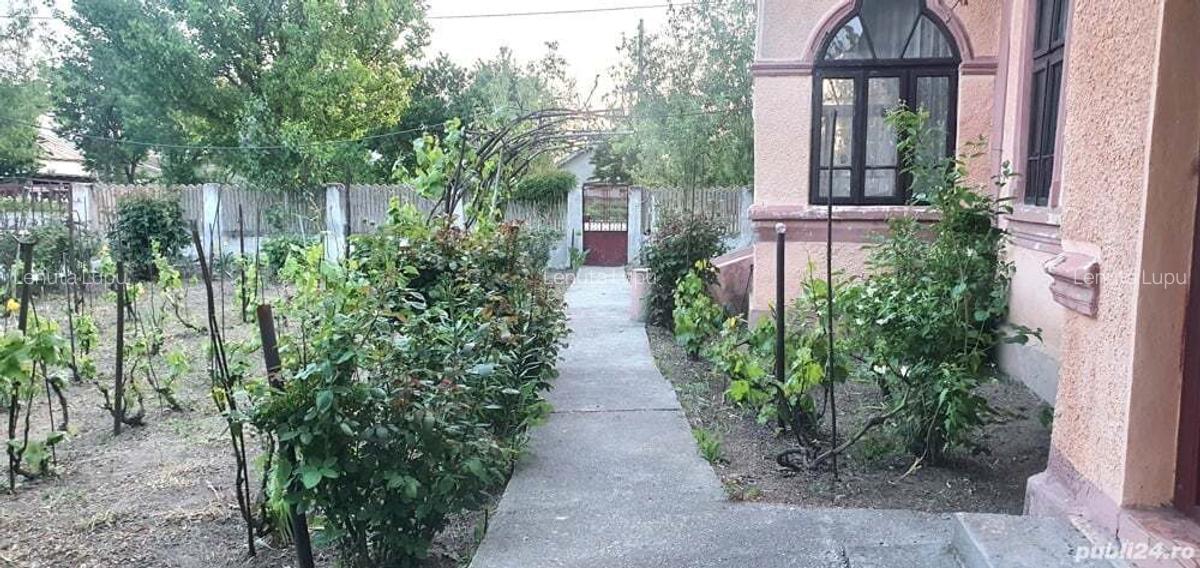 Casa Moldoveni Teleorman - 3