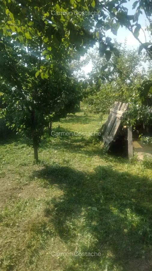 Casa P+E de Vanzare cu Teren - 3