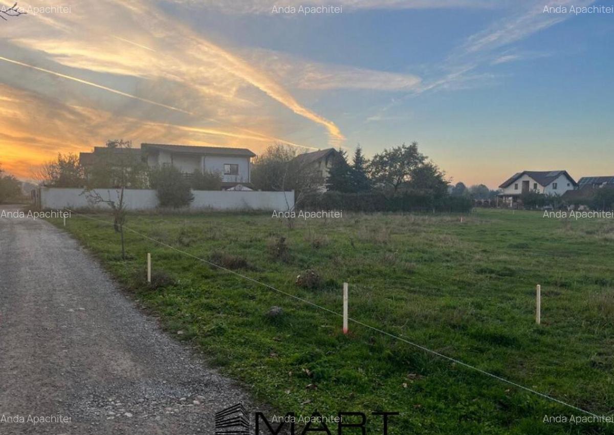 Teren de casa intravilan 550mp Harman - 3