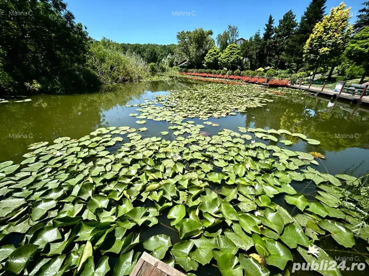 Vila superba 4 camere 260mp teren 1000mp acces lac-padure Snagov - 2