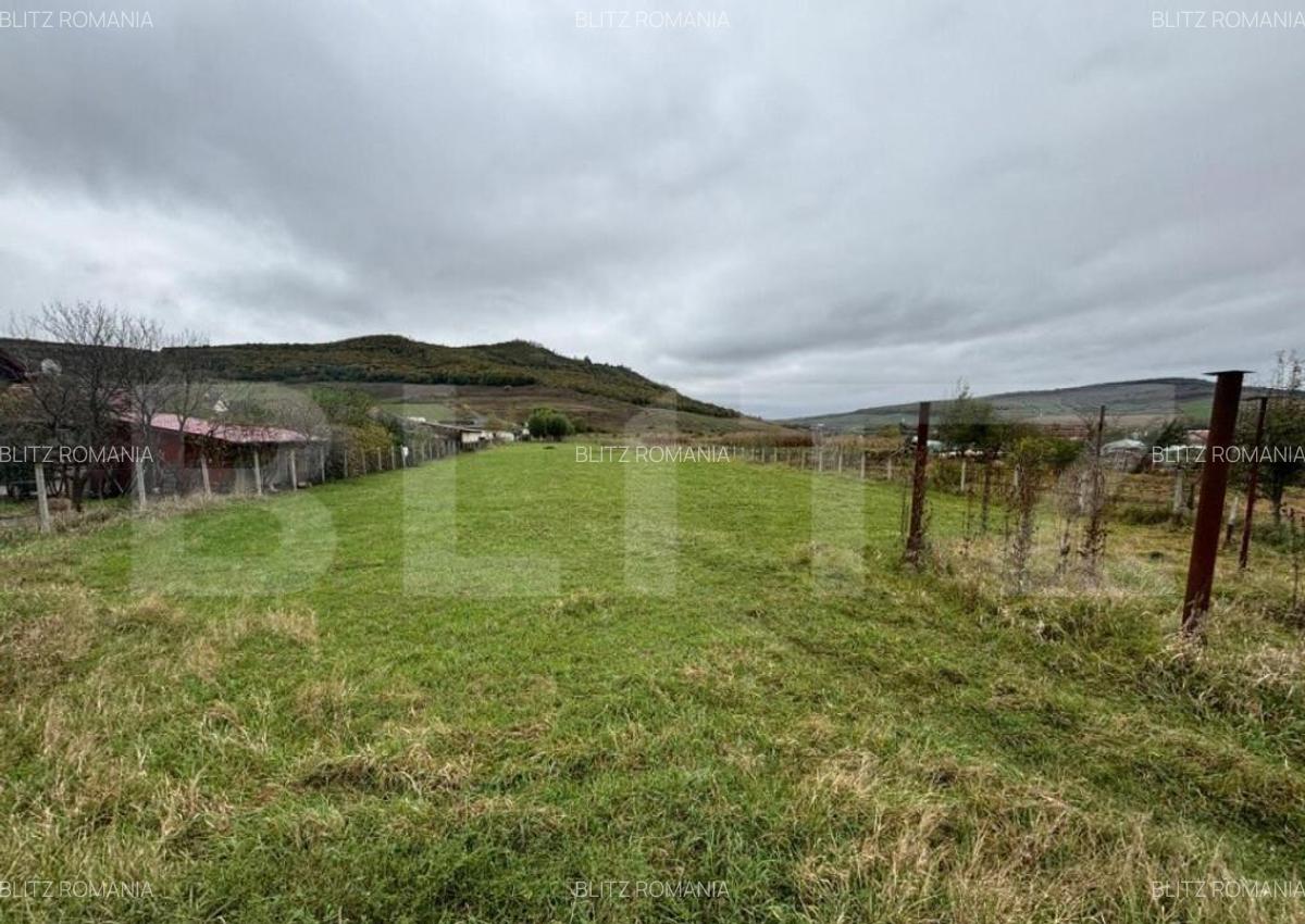 Teren 4000 mp,autorizatie de constructie Lechinta - 16