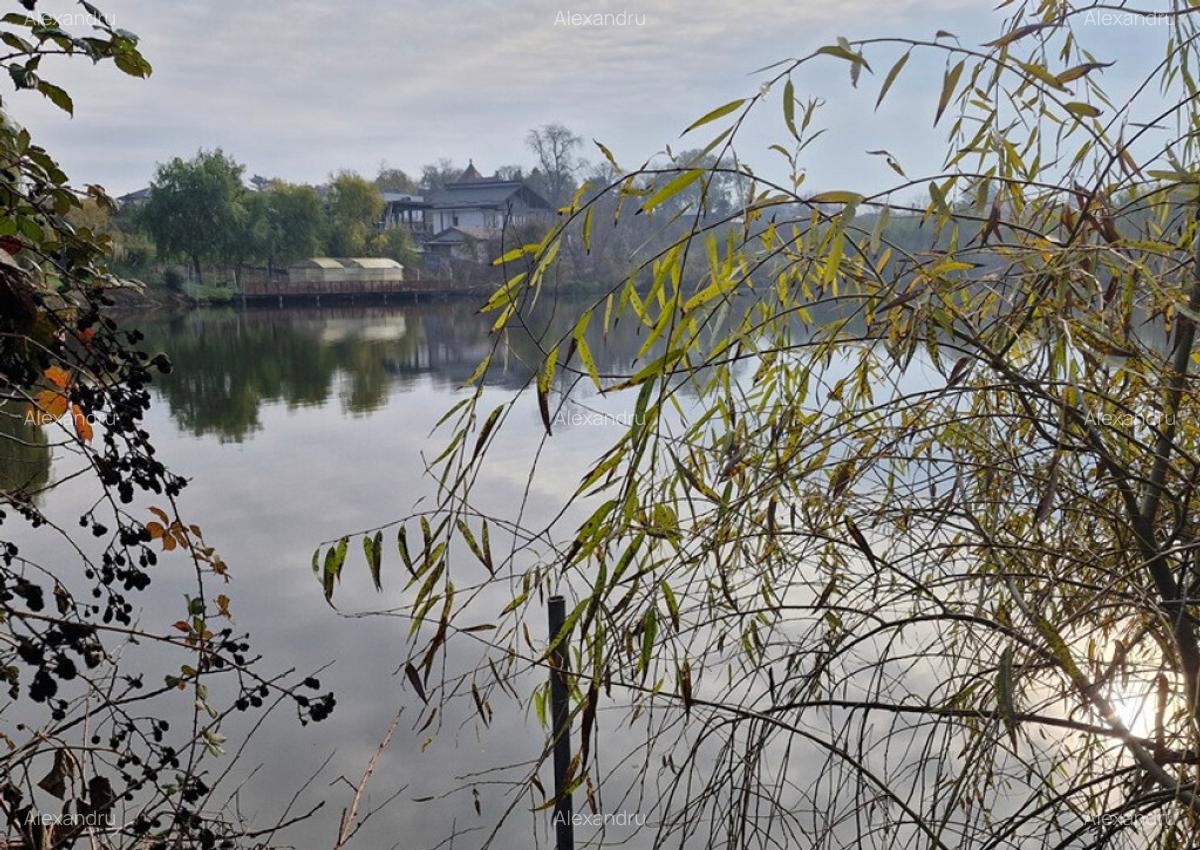 Teren langa case cu utilitati, lac la 300 metri, 700 mp - 9