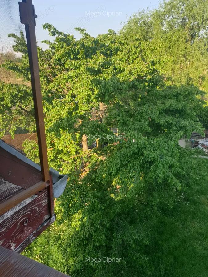 Inchiriez apartament in vila, chisoda - 15