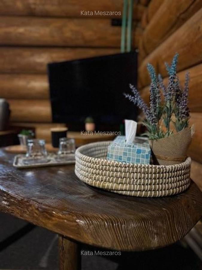 FILM! Resedinte montane,mobilate,echipate, jacuzzi,piscina,pretios areal,Sambata - 20