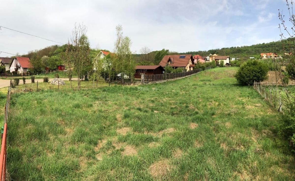 PROPRIETAR Vand teren intravilan 2600 mp pentru casa in localitatea Bardesti - 3