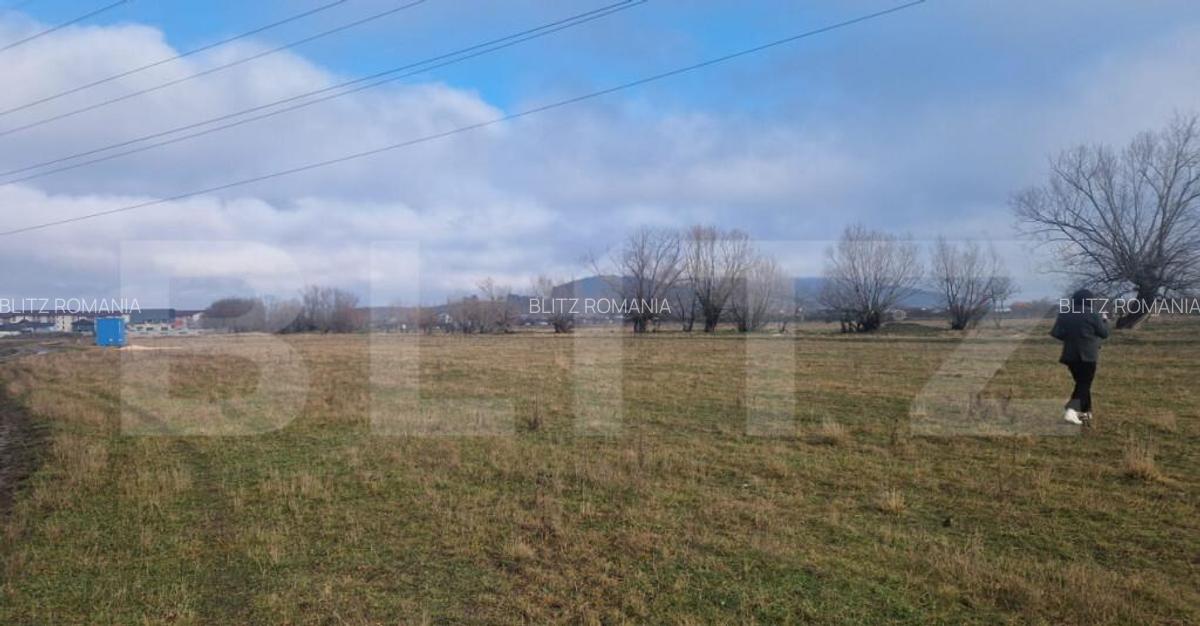 Teren intravilan Sanpetru - ideal ctie casa 500 mp - 6