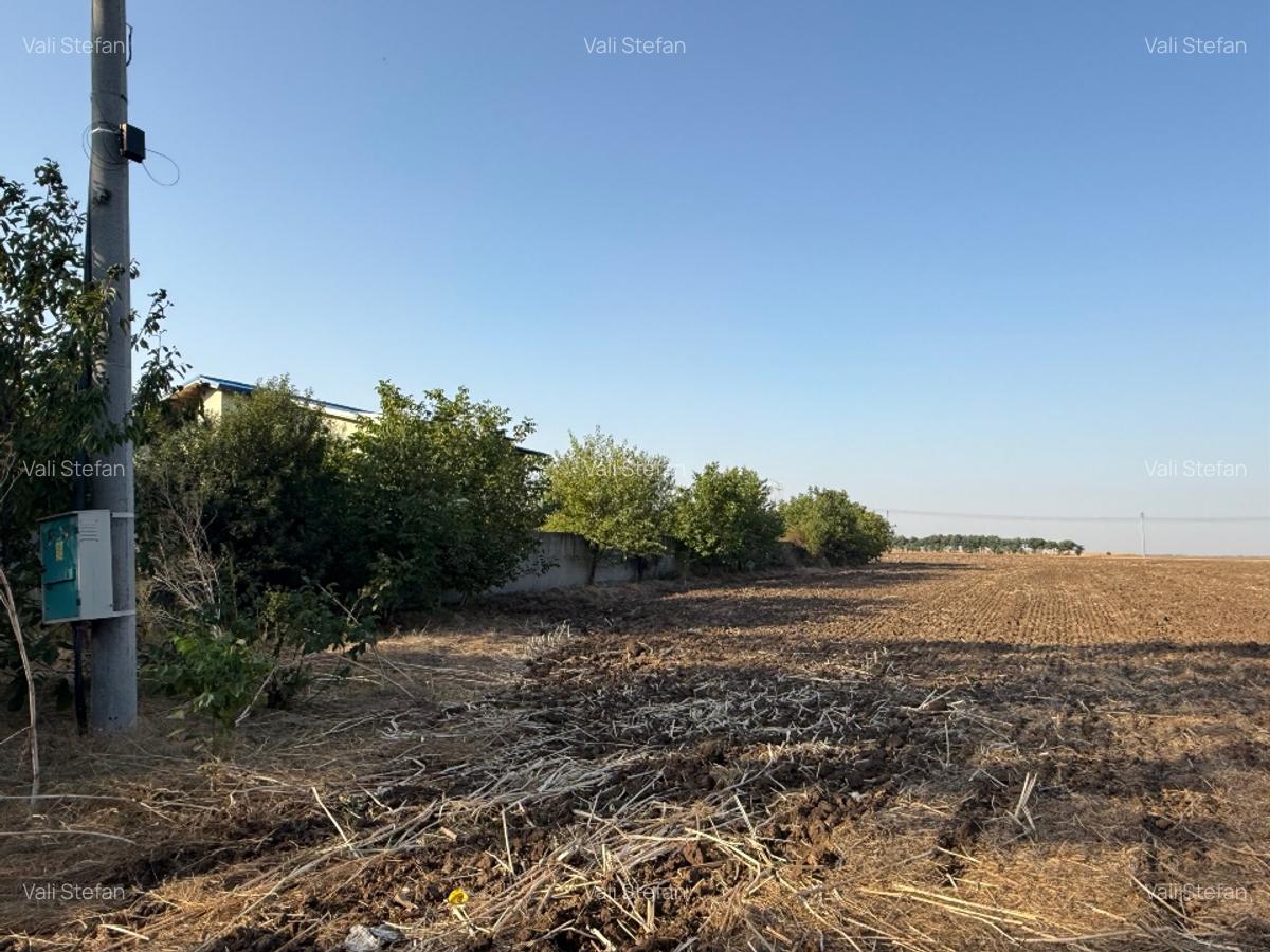 Teren Dn4 Frumusani - 3 Teren Dn4 Frumusani - 3