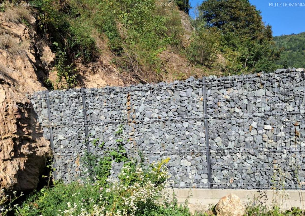 Proiect turistic HotelPensiune, 6 dormitoare, Valea Ierii - 5