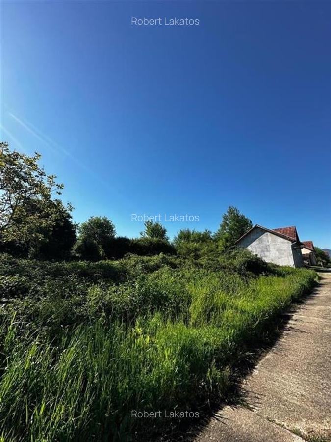 Reco Teren intravilan Beius - 2