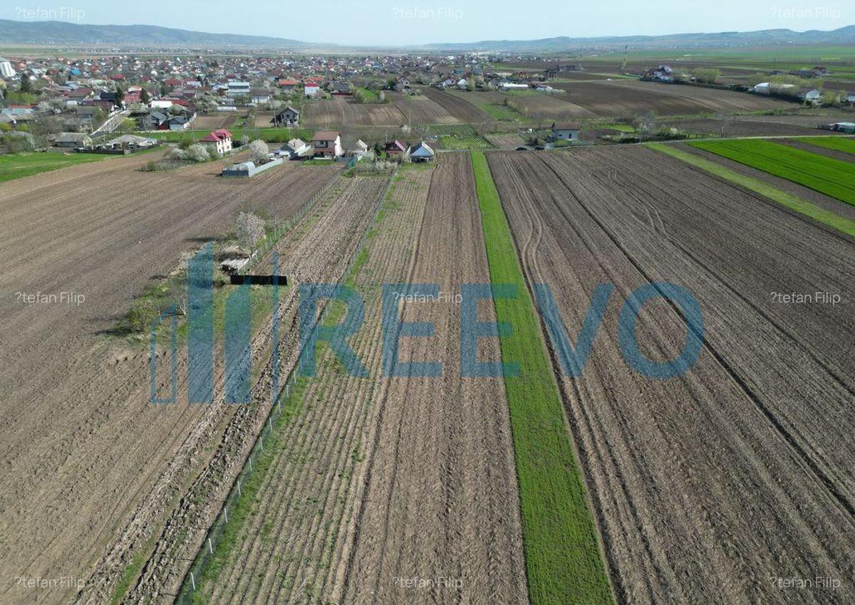 Teren de vanzare, Com. Nicolae Balcescu, Jud. Bacau - 26 Teren de vanzare, Com. Nicolae Balcescu, Jud. Bacau - 26
