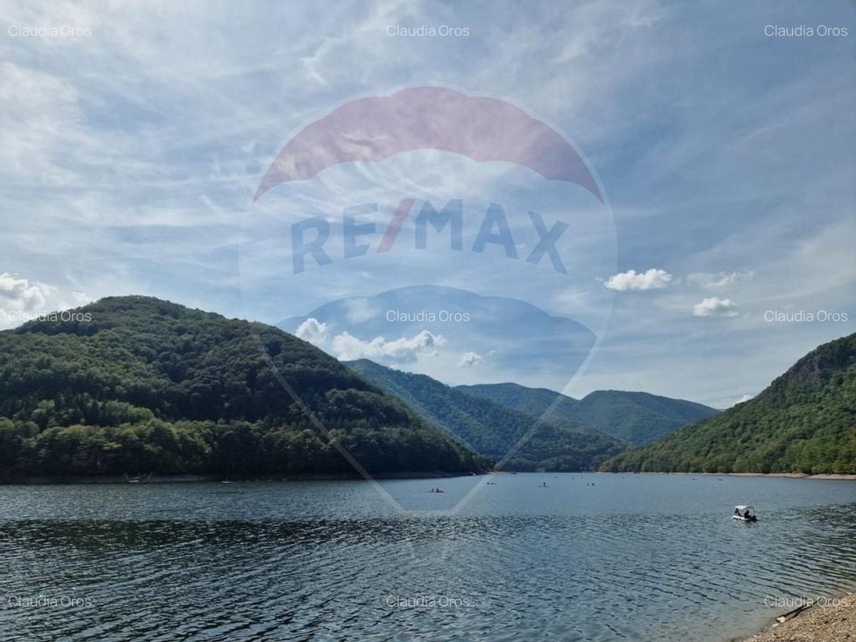Teren intravilan cu deschidere la lacul Tarnita - 2