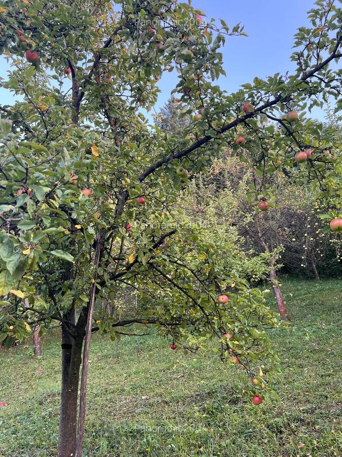 Casa de vanzare Soveja-Vrancea - 30