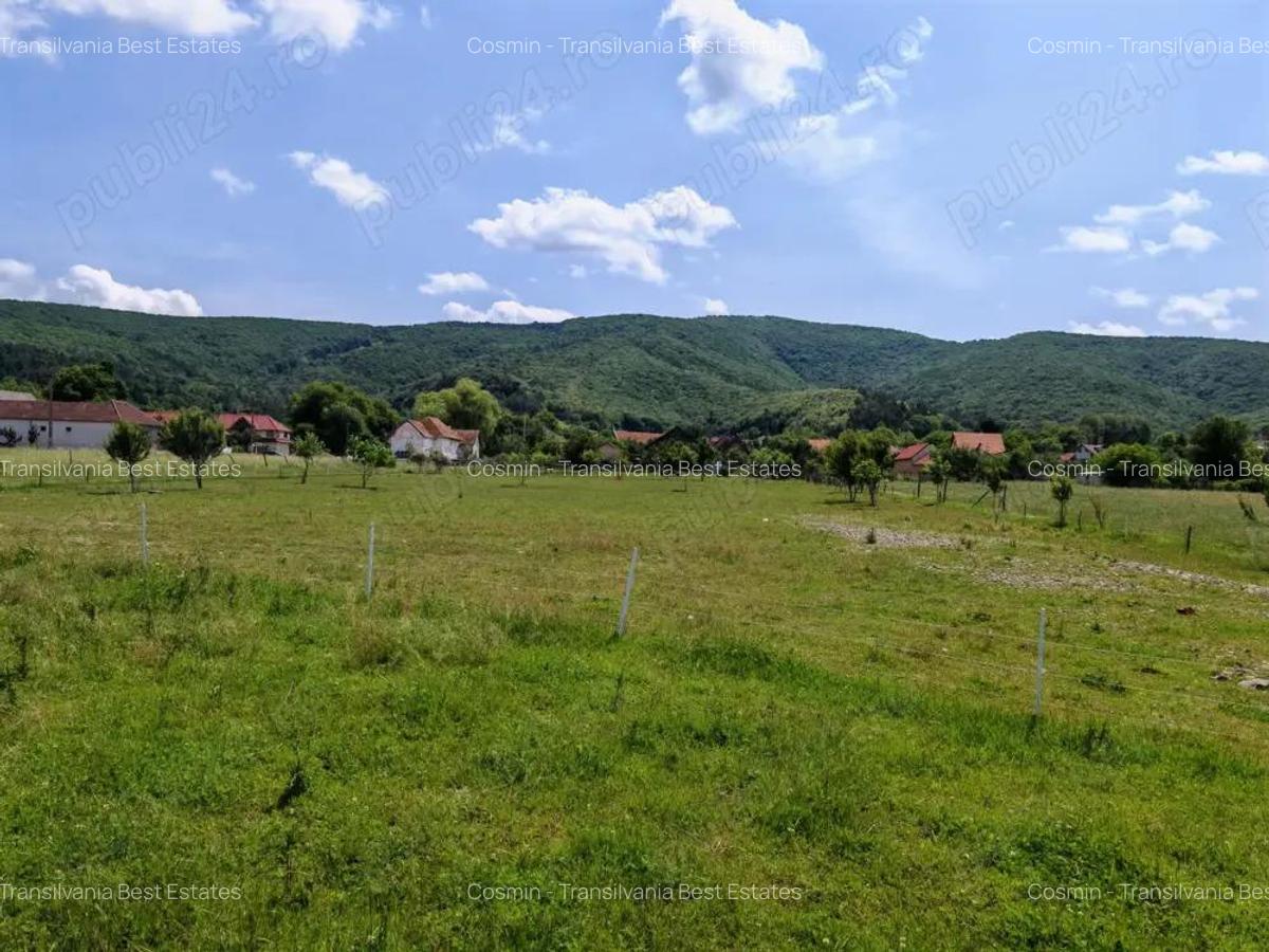 Teren intravilan 7.800 mp Marcu? sau loturi incepand cu 7.000 euro. - 4