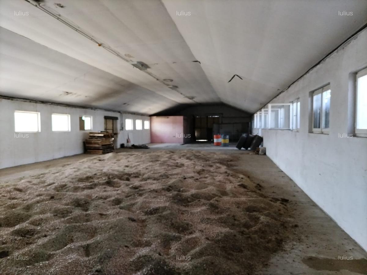 Spațiu comercial, 800 mp în Hălchiu - 8