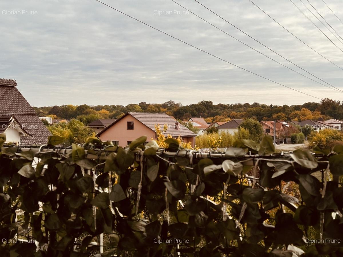 Apartament modern, Kaufland- Vedere spre Padurea Verde | Parcare - 20