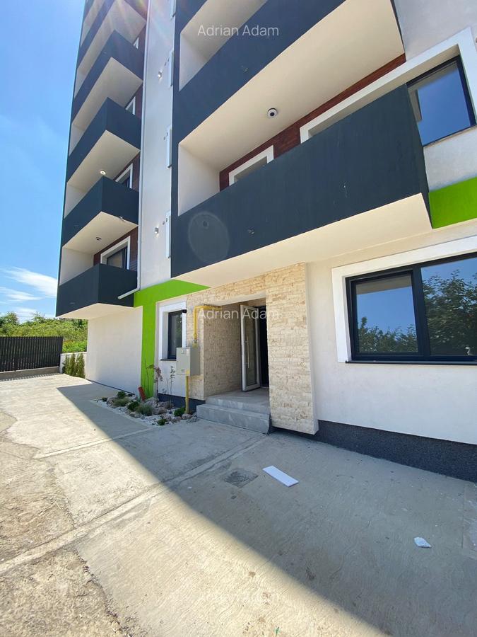 Apartamente 1-2 camere cash/credit/rate dezvoltator , Bucium-Visan - 1