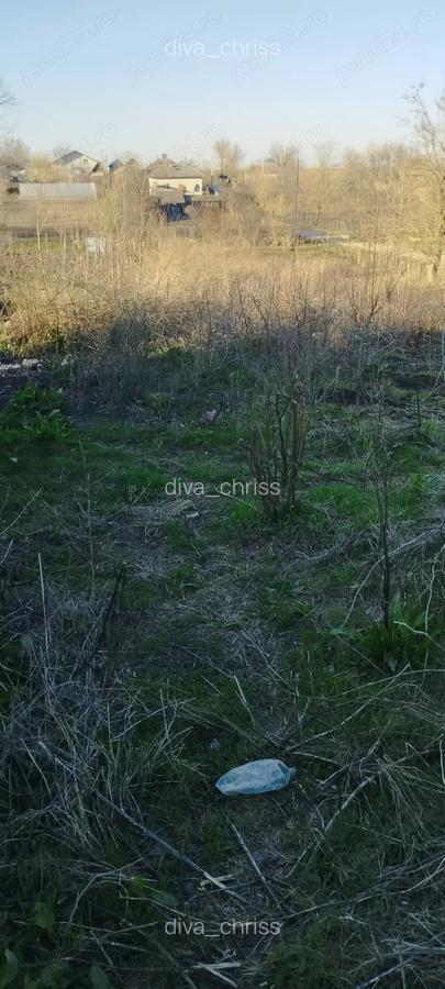 Vanzare casa Obarsia - 3