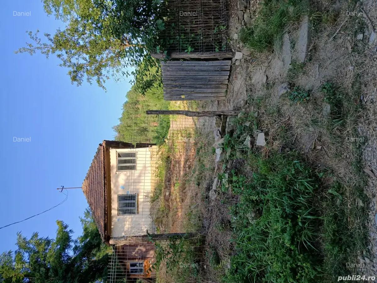 Casa in Mun?ii Buzaului - 3