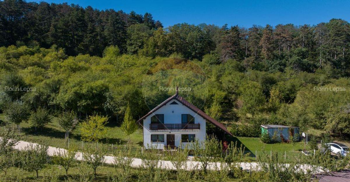 Comision 0%! Vila moderna, in mijlocul naturii - 2