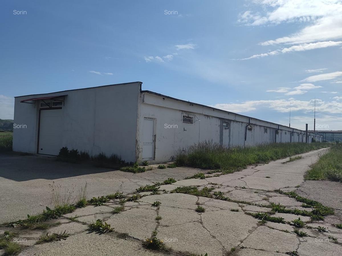 Spatiu productie/ depozitare, 600 mp, Brasov - Bod. - 2
