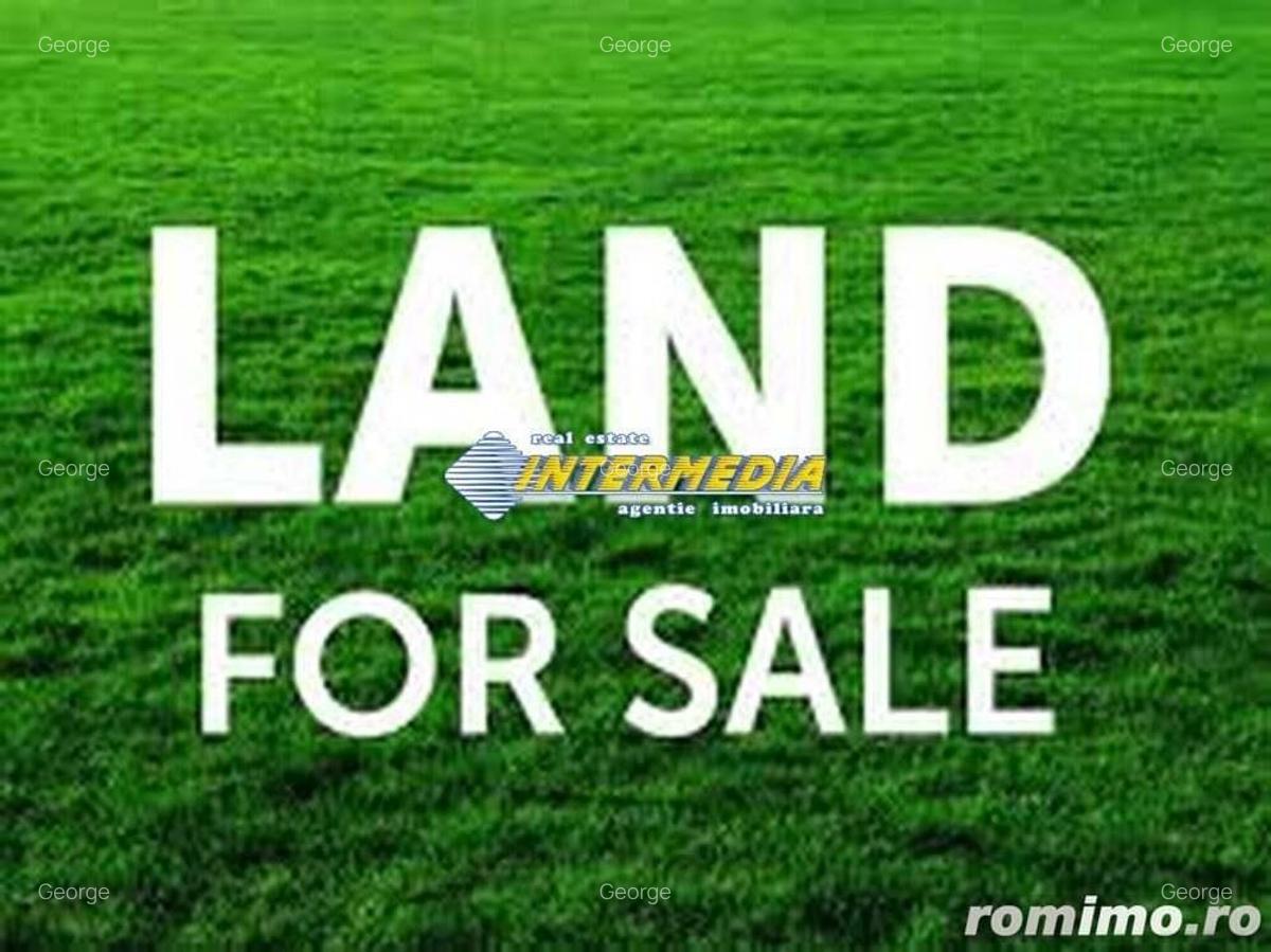 Teren Intravilan 600 mp. de vanzare Alba Micesti parcele diverse - 4