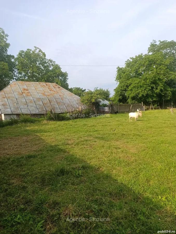 Teren intravilan, Carligi,com. Stefan cel Mare - 2