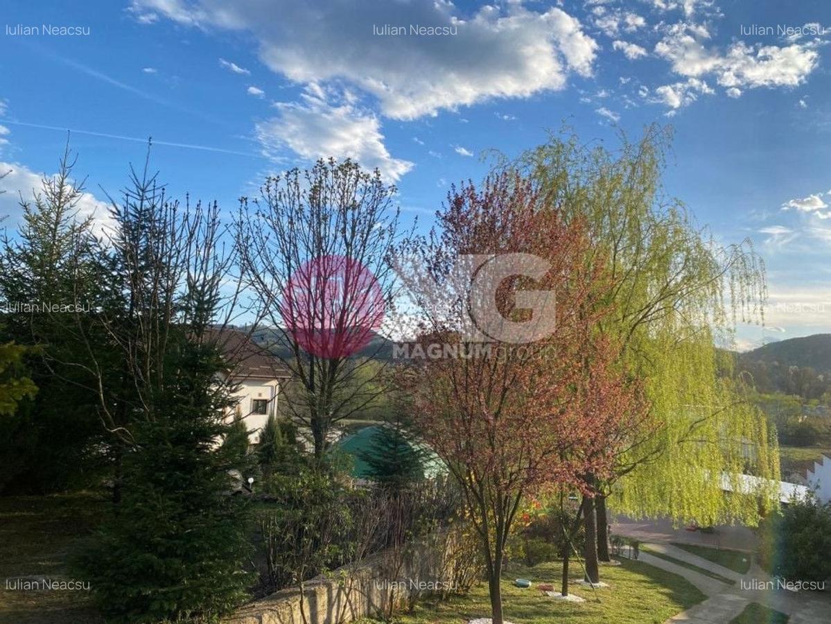 Hala industriala + teren Pausesti Valcea - 4