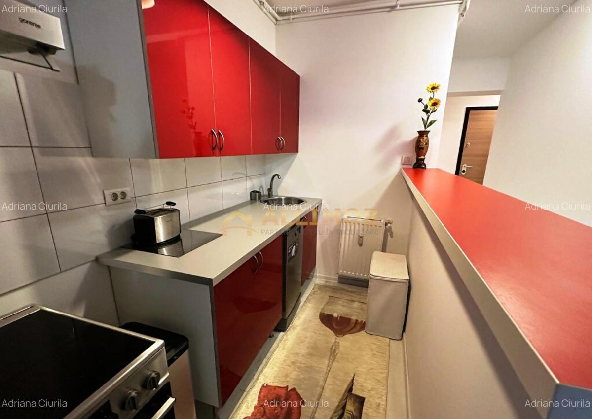 Apartament 2 camere zona Herastrau - 9