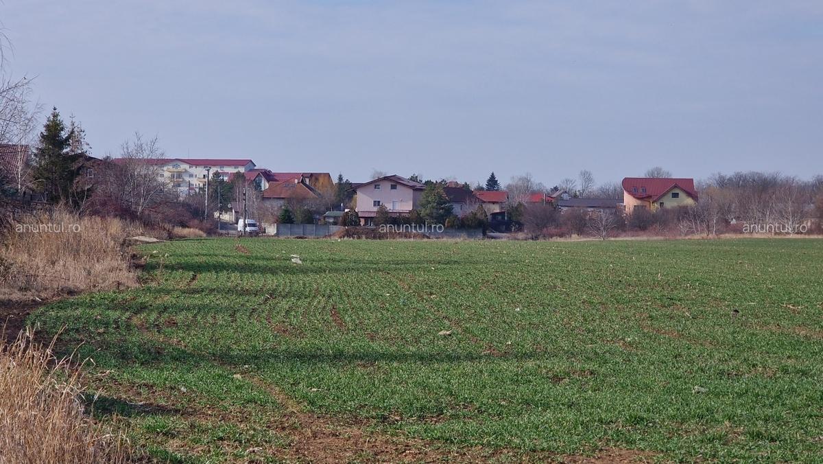 LOTURI DE TEREN IN BALOTESTI-SAFTICA| LANGA CASE SI UTILITATI - 6