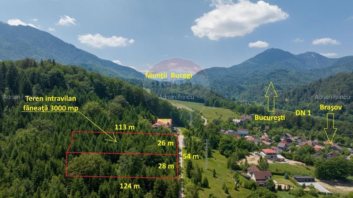 Teren intravilan, 3000 mp, Dambu Morii - 5