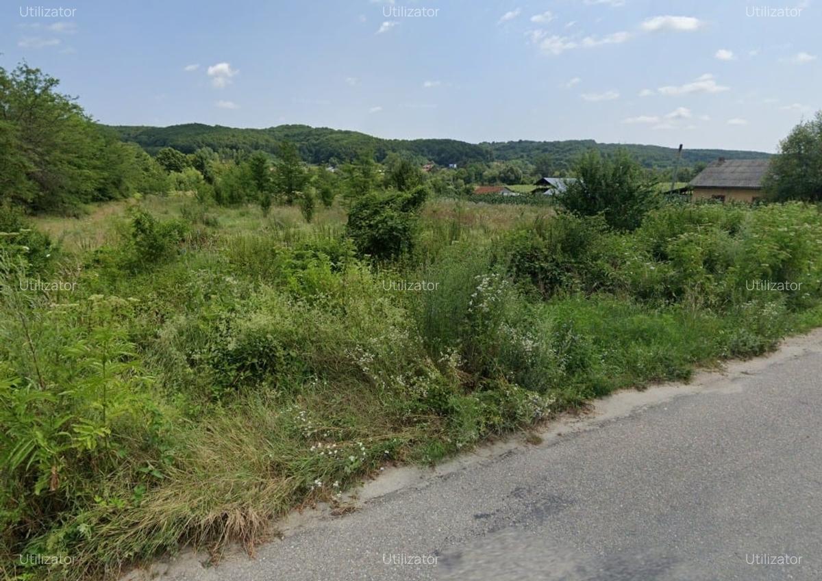Teren Extravilan 7.980 mp, utilitati, acces DC 179 - 2