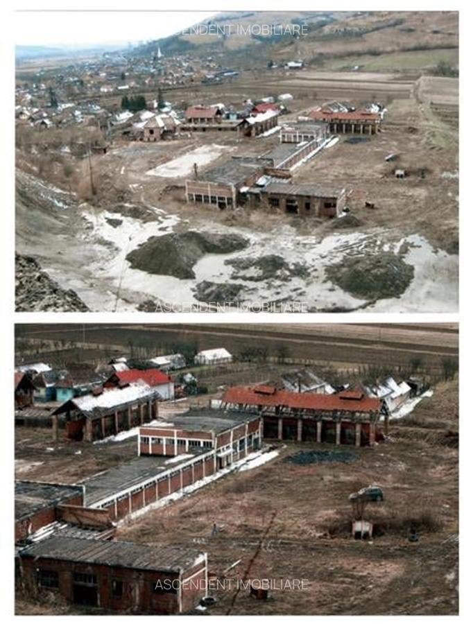 Amplasament de 13.500 mp:oportunitate  unitate de prelucrare terena, Viforoasa, - 2