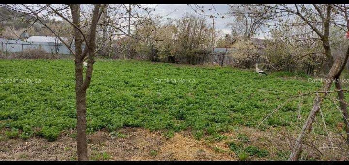 Teren si casa de vanzare - 5