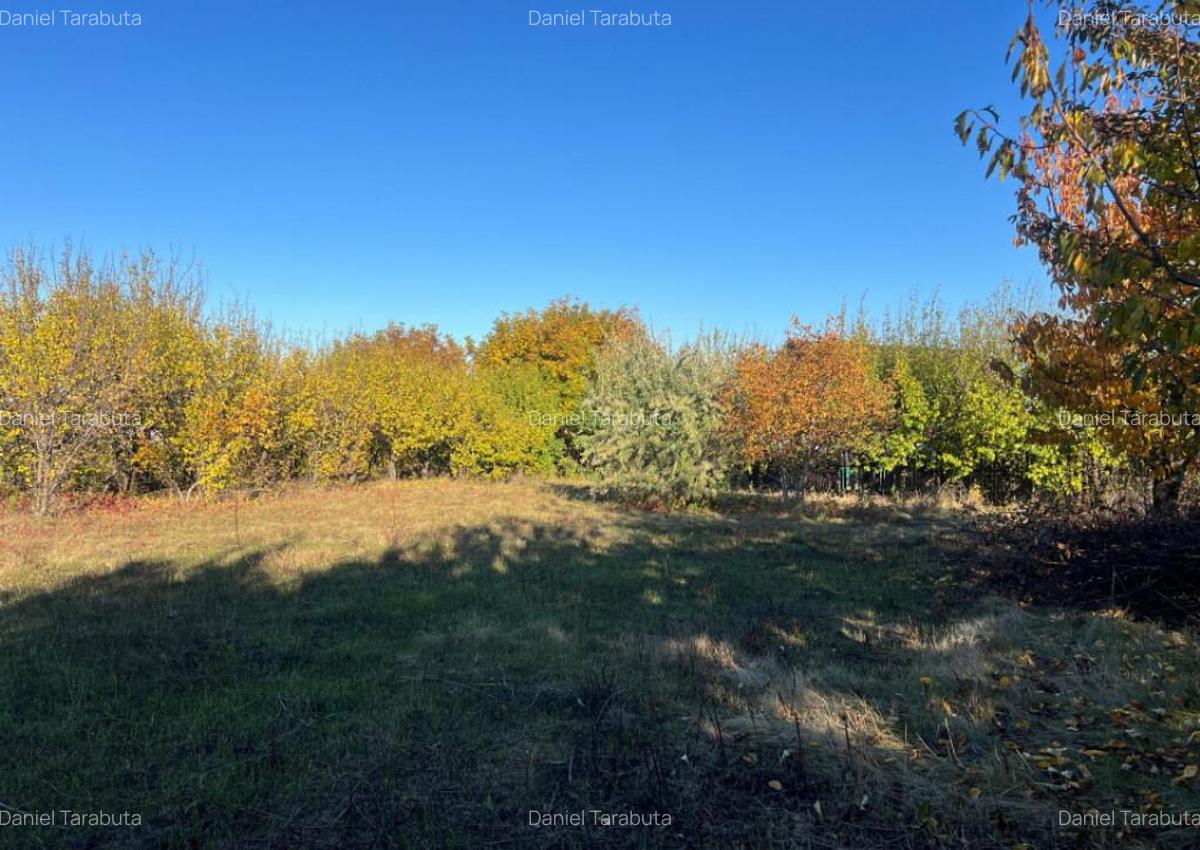 Teren constructie 800mp Rediu Horlesti - 2